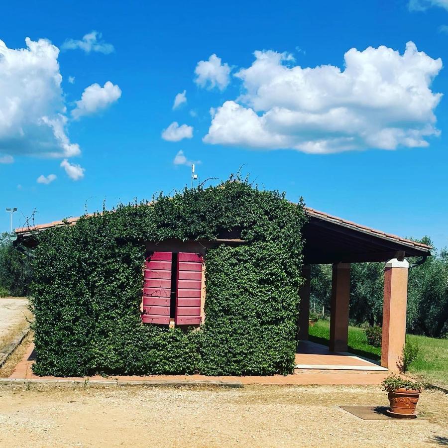Tenuta Agricola Fraschiera Villa Massa Marittima Kültér fotó