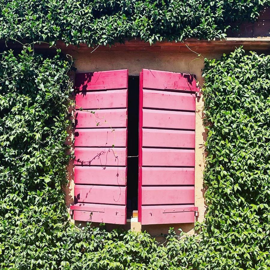 Tenuta Agricola Fraschiera Villa Massa Marittima Kültér fotó