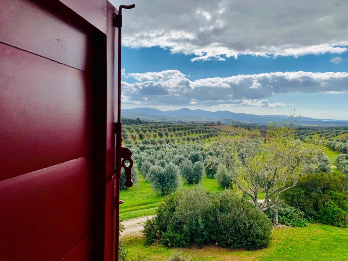 Tenuta Agricola Fraschiera Villa Massa Marittima Kültér fotó