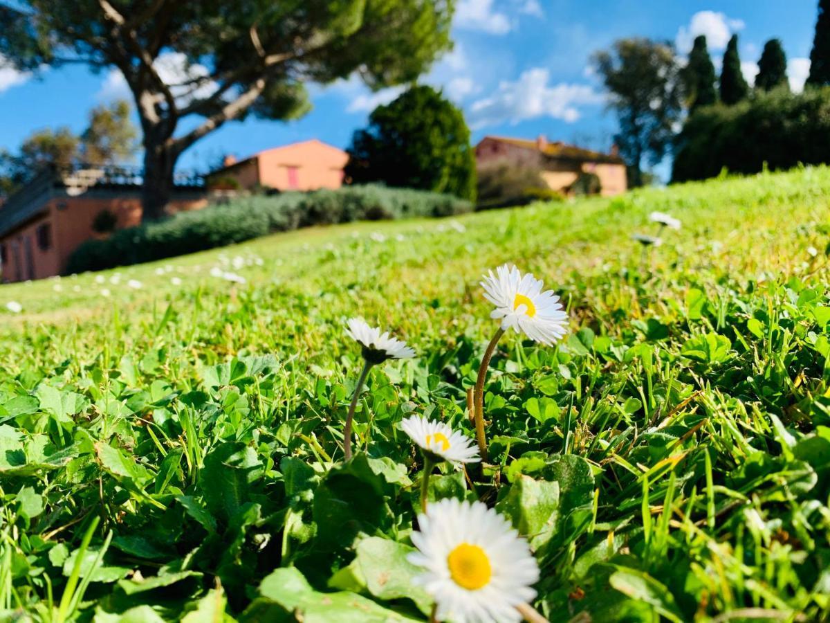 Tenuta Agricola Fraschiera Villa Massa Marittima Kültér fotó