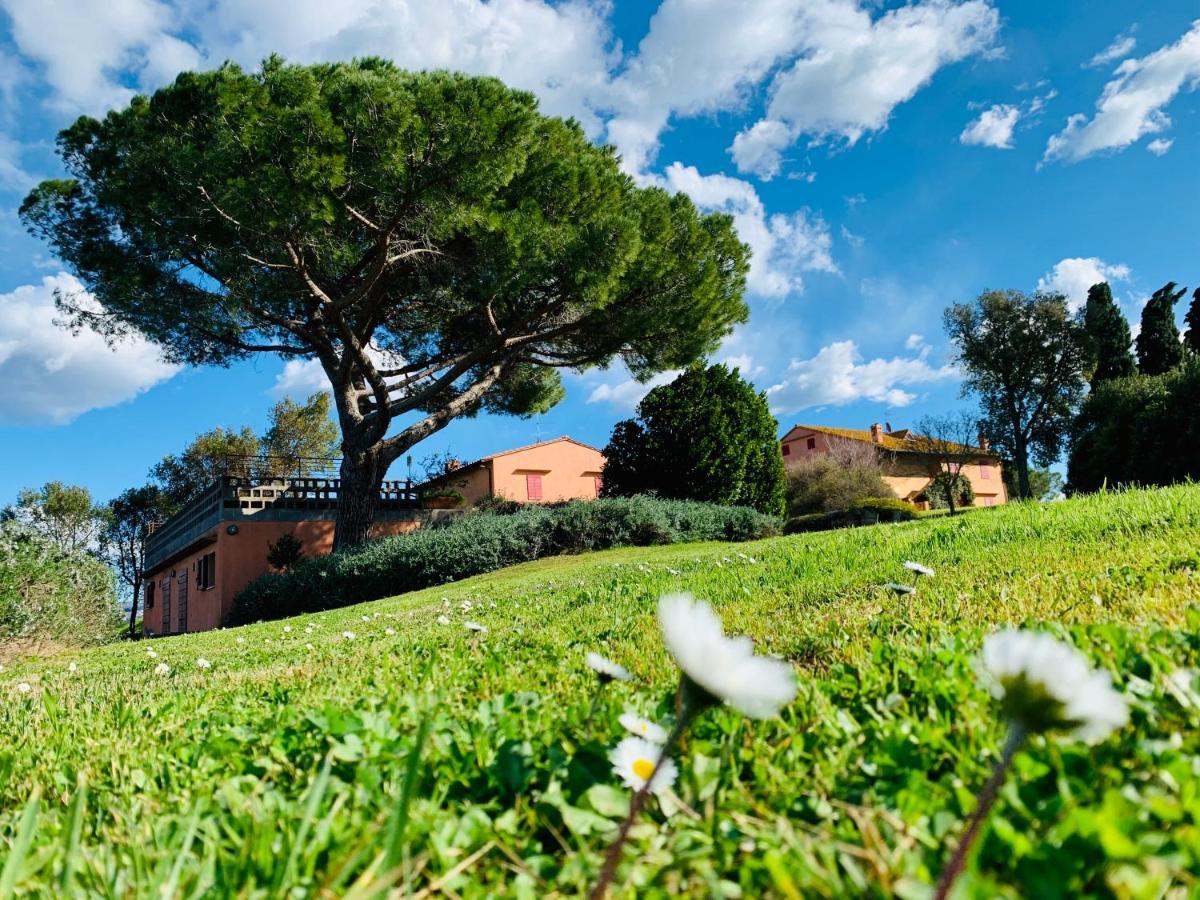 Tenuta Agricola Fraschiera Villa Massa Marittima Kültér fotó