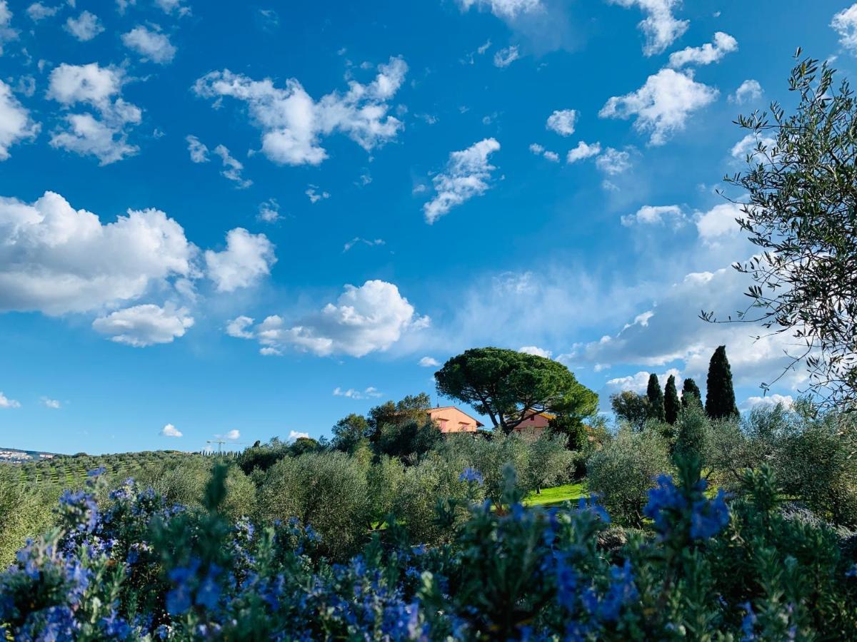 Tenuta Agricola Fraschiera Villa Massa Marittima Kültér fotó