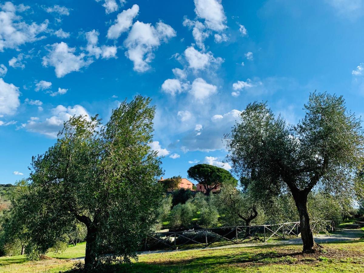 Tenuta Agricola Fraschiera Villa Massa Marittima Kültér fotó