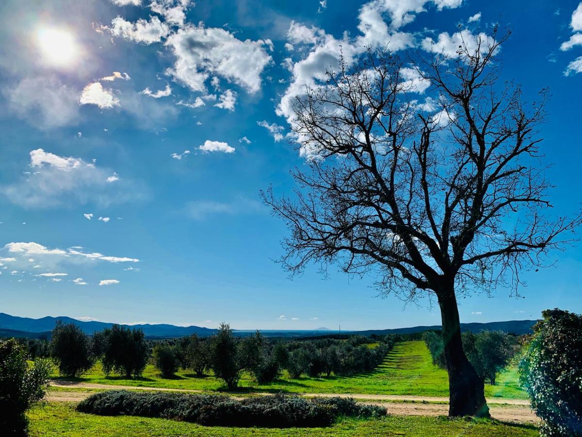 Tenuta Agricola Fraschiera Villa Massa Marittima Kültér fotó