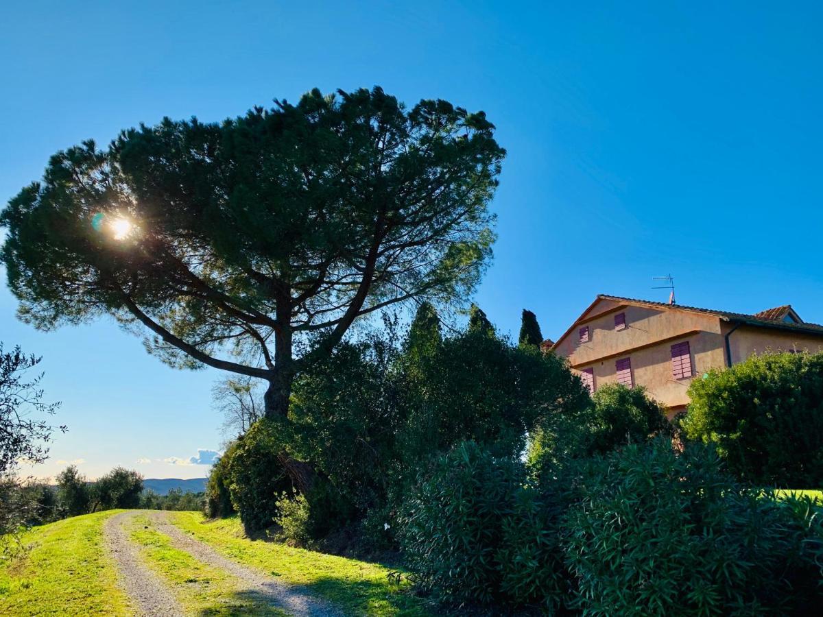 Tenuta Agricola Fraschiera Villa Massa Marittima Kültér fotó