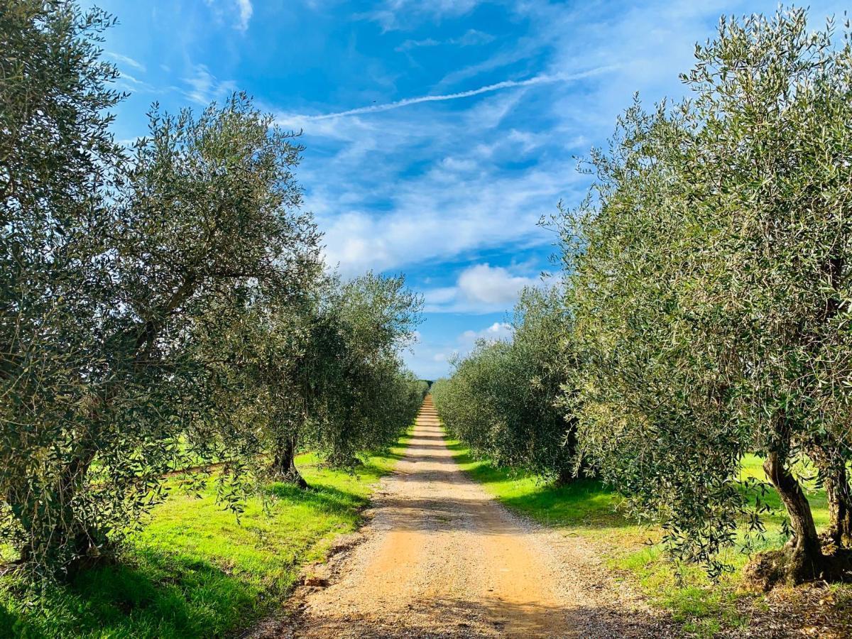 Tenuta Agricola Fraschiera Villa Massa Marittima Kültér fotó