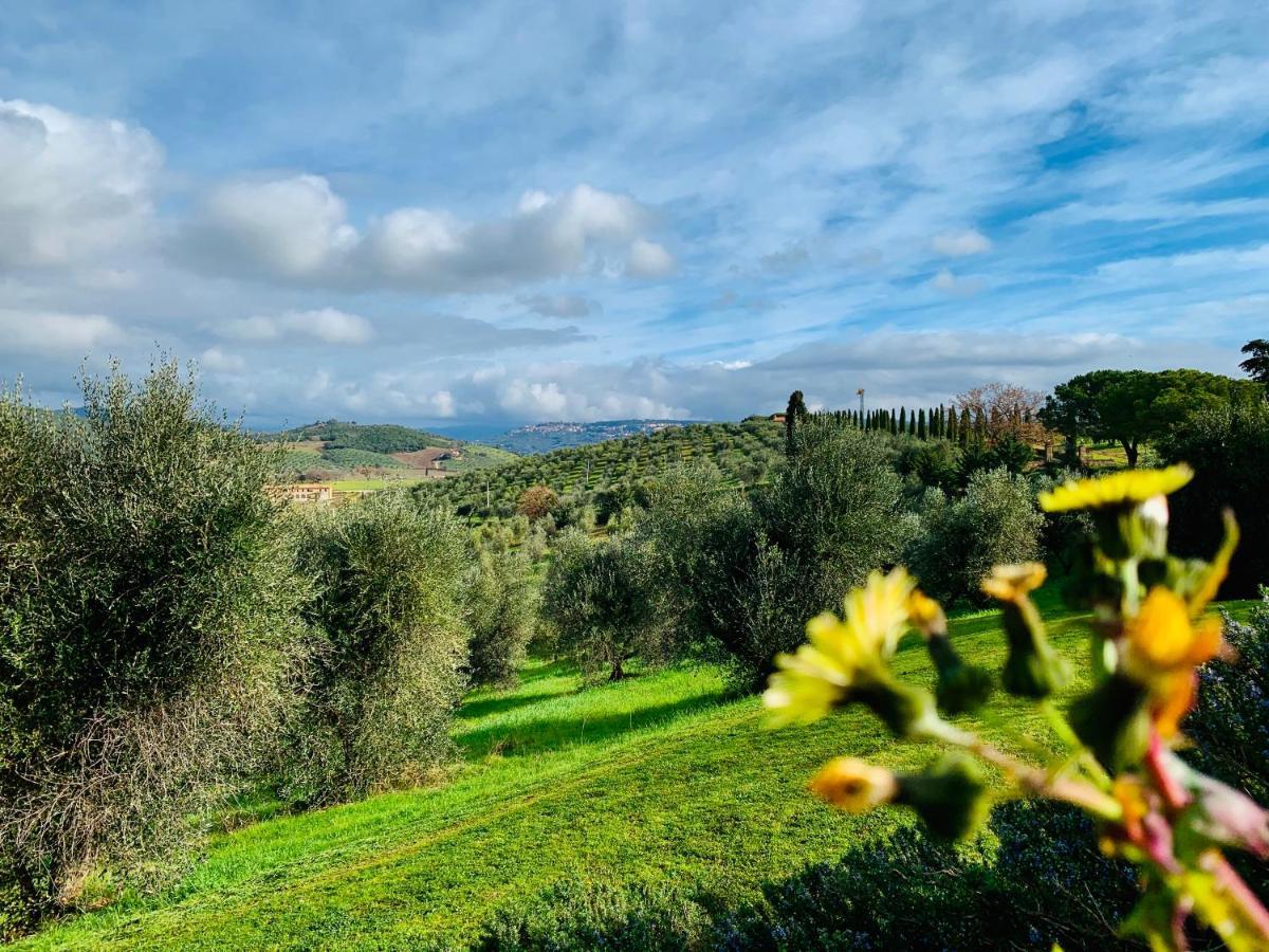 Tenuta Agricola Fraschiera Villa Massa Marittima Kültér fotó