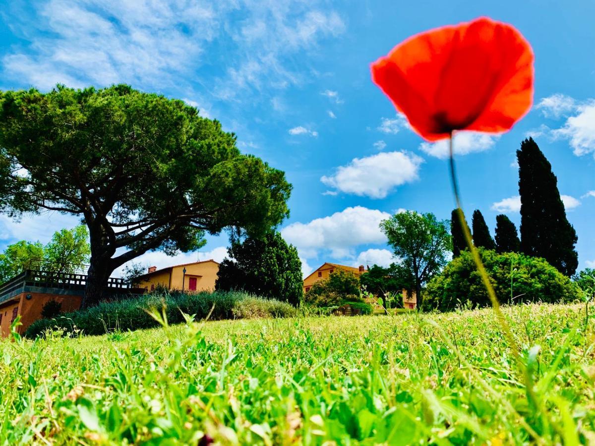 Tenuta Agricola Fraschiera Villa Massa Marittima Kültér fotó
