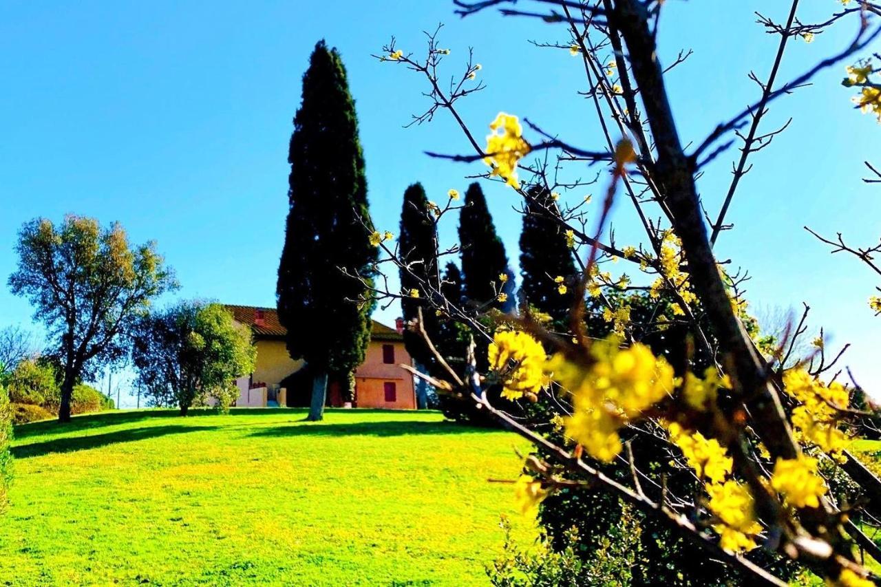 Tenuta Agricola Fraschiera Villa Massa Marittima Kültér fotó